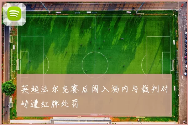 英超法尔克赛后闯入场内与裁判对峙遭红牌处罚